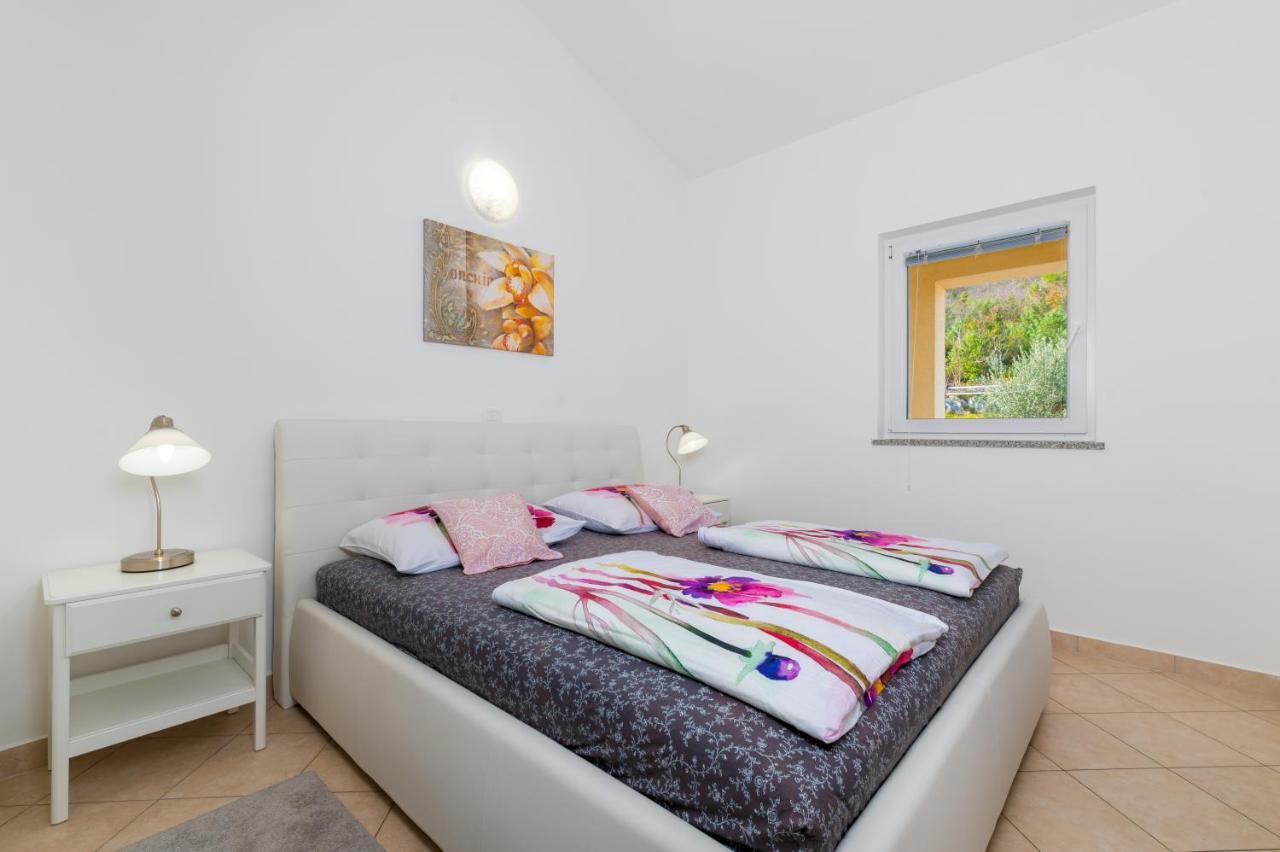 Apartment Panoramica - Ravni Labin  Buitenkant foto